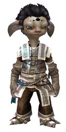 Monk's Outfit
