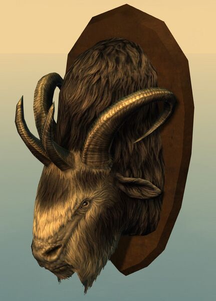 File:Mounted Dolyak Head.jpg