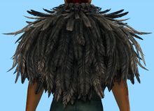 Raven Mantle back.jpg