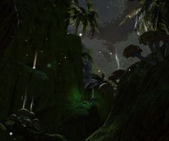 Tangled Depths Insight- Northern Confluence.jpg