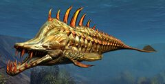 Barracuda.jpg