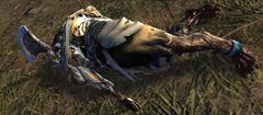 Fallen Awakened Soldier.jpg