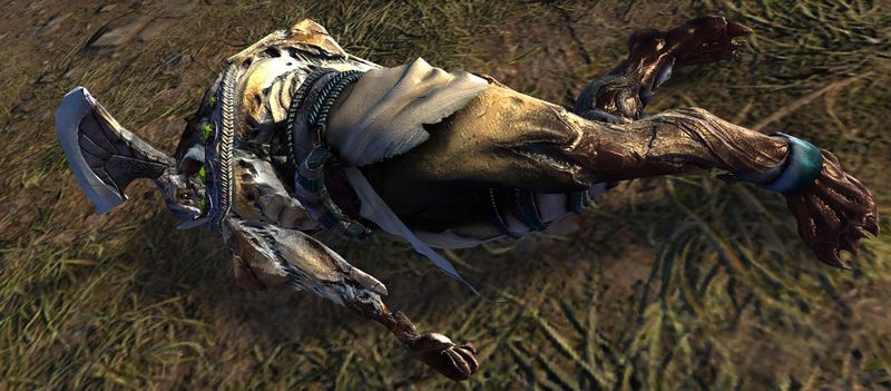 File:Fallen Awakened Soldier.jpg