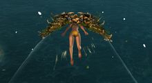Floral Glider trail.jpg