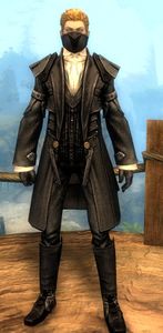 Appearance on medium armor.