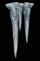Icicle (decoration).jpg