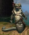 Krait