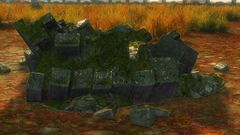 Rubble (Home Sweet Home).jpg
