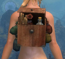 Sturdy Artificer's Backpack.jpg