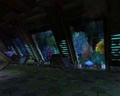 The Aquatarium.jpg
