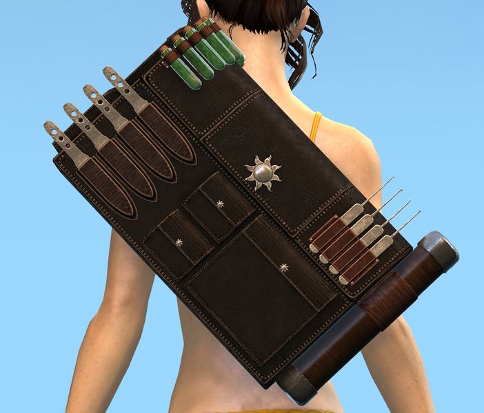 File:Ash Legion Backpack.jpg