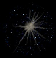Blue Fireworks.jpg