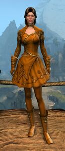 Appearance on light armor.