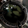 Breach's Platinum Gloom.png