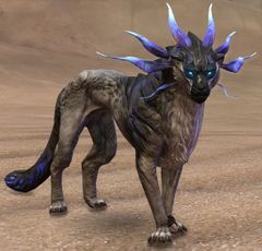 Cheetah.jpg