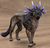 Cheetah.jpg