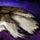 Clump of Fur.png