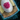 Raspberry Seed Pouch.png
