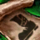 Recipe sheet masterwork boots.png