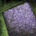 Sheet of Medium Sandpaper.png