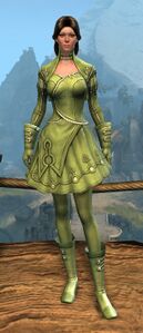 Appearance on light armor.
