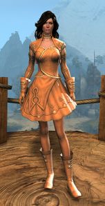 Appearance on light armor.