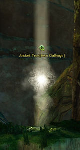 Ancient Tree.jpg