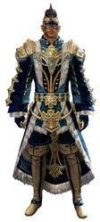 Aurora armor human male front.jpg