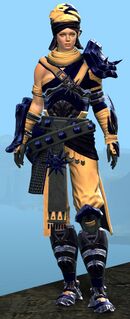 Elonian armor (heavy) norn female front.jpg