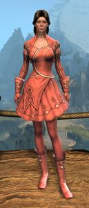 Appearance on light armor.