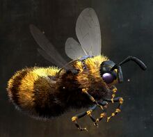 Fuzzy Bee Skimmer Skin.jpg