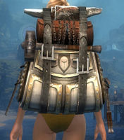 Intricate Armorsmith's Backpack.jpg