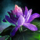 Late-Blooming Elon Lily.png