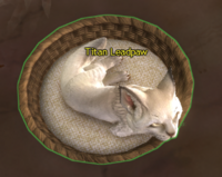 Leadpaw.png