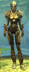 Lionguard human heavy 1 (weaponless).jpg
