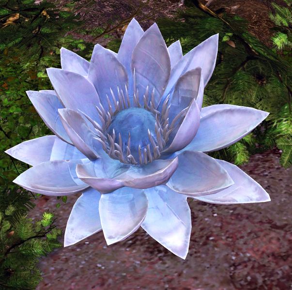 File:Luxurious Lily.jpg