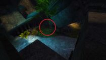 * Next to the Displaced Quaggan.