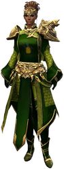 Ornate Guild armor (light) norn female front.jpg