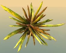 Potted Jungle Grass top.jpg
