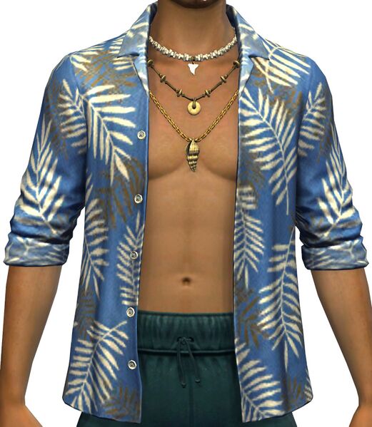 File:Tropical Chest male front.jpg
