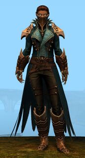 True Sight armor norn female front.jpg