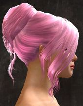 Unique norn female hair side 3.jpg