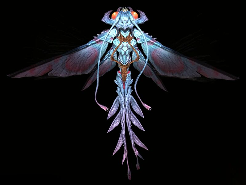File:Castoran Wavehawk Skin top.jpg