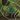 Clayent Falls map.jpg
