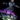 Dance Platform Package.png