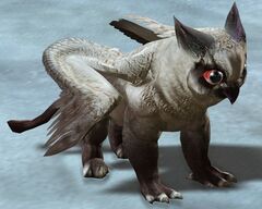 Griffon Chick.jpg