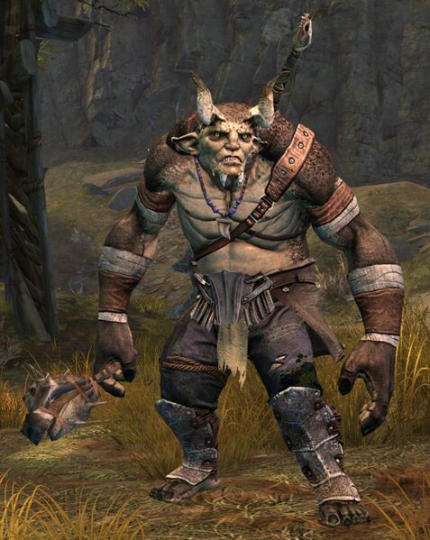 File:Ogre Hunter (greatsword).jpg