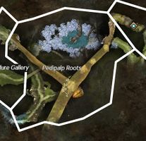 Pedipalp Roots map.jpg