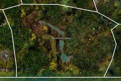 Skyshroud Canopy map.jpg