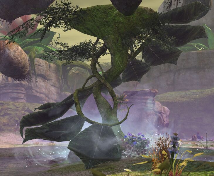 File:Sylvari Tower.jpg